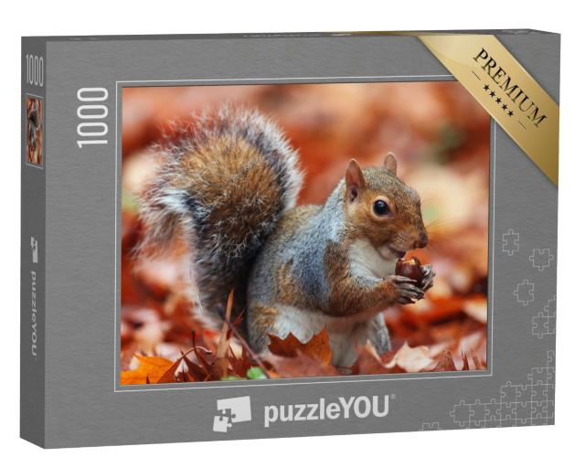 Puzzle de 1000 pièces « Écureuil en automne avec gland »