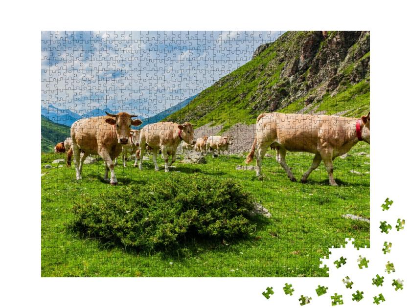Puzzle de 1000 pièces « Paysage de montagne avec des vaches dans les Pyrénées françaises, France »