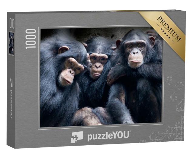 Puzzle de 1000 pièces « Les bonobos et les chimpanzés en Afrique »