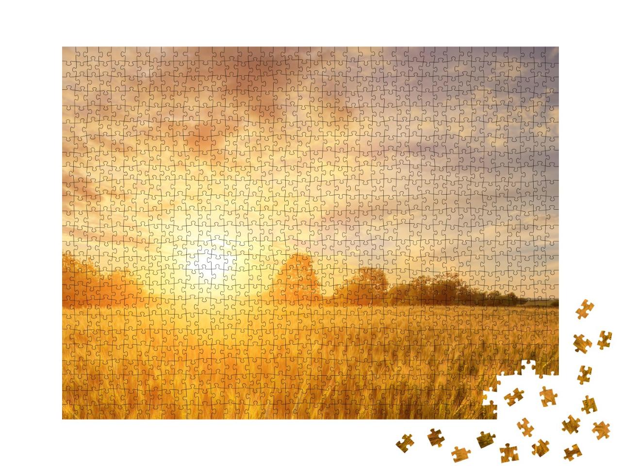 Puzzle de 1000 pièces « Coucher de soleil chaud et lumineux sur un champ »