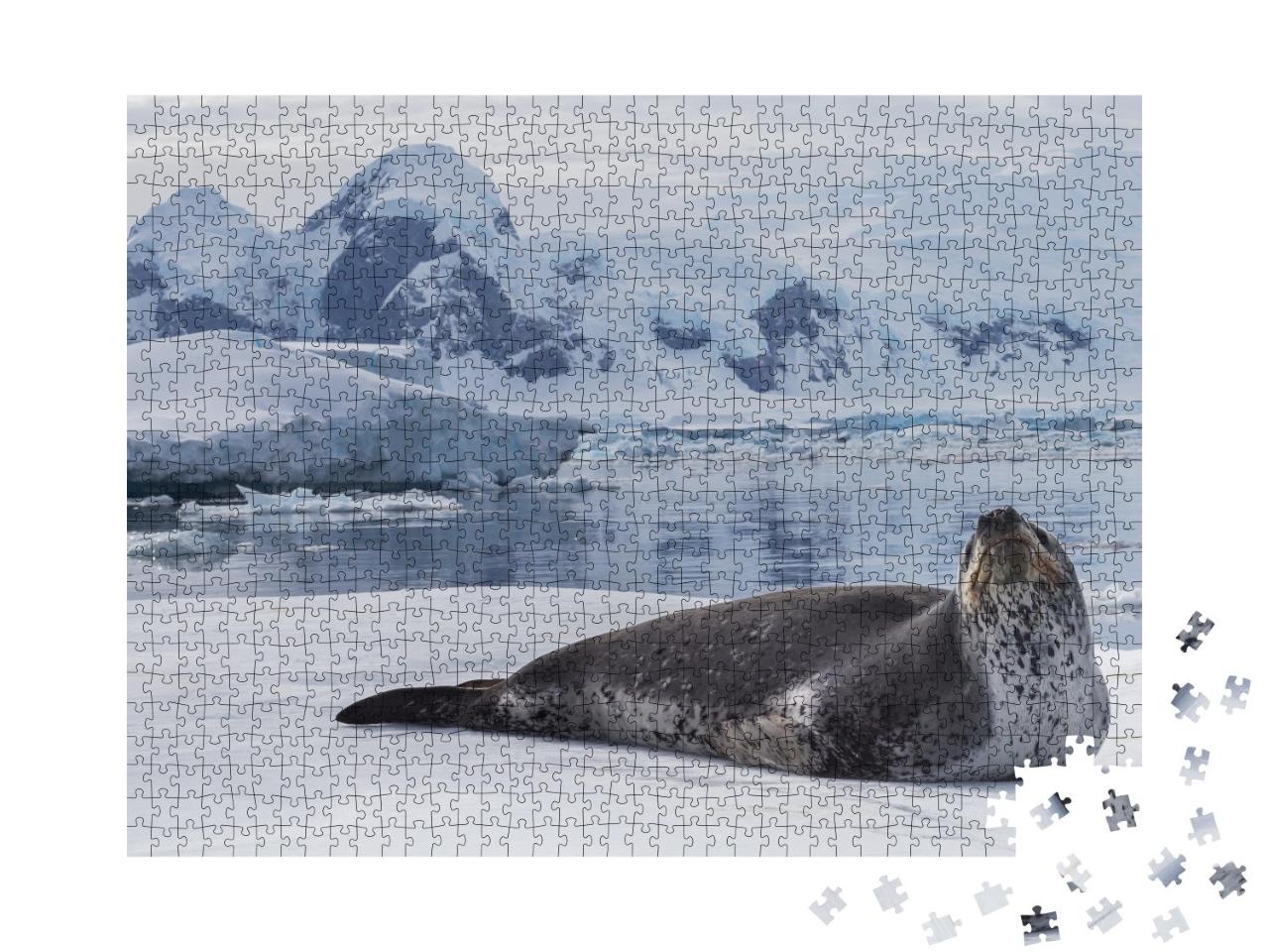 Puzzle de 1000 pièces « Le léopard des mers, un prédateur de l'Antarctique »
