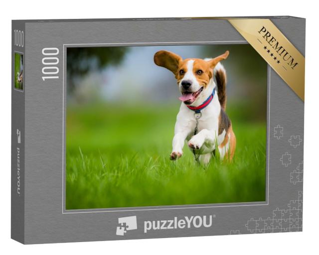 Puzzle de 1000 pièces « Un beagle au printemps »