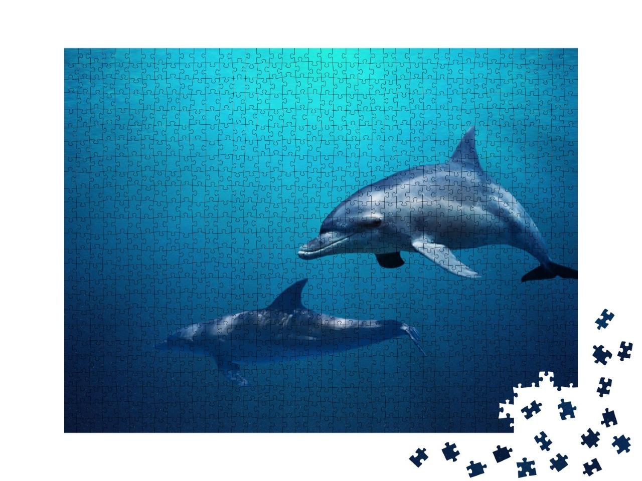 Puzzle de 1000 pièces « Deux dauphins nagent dans une eau bleue »