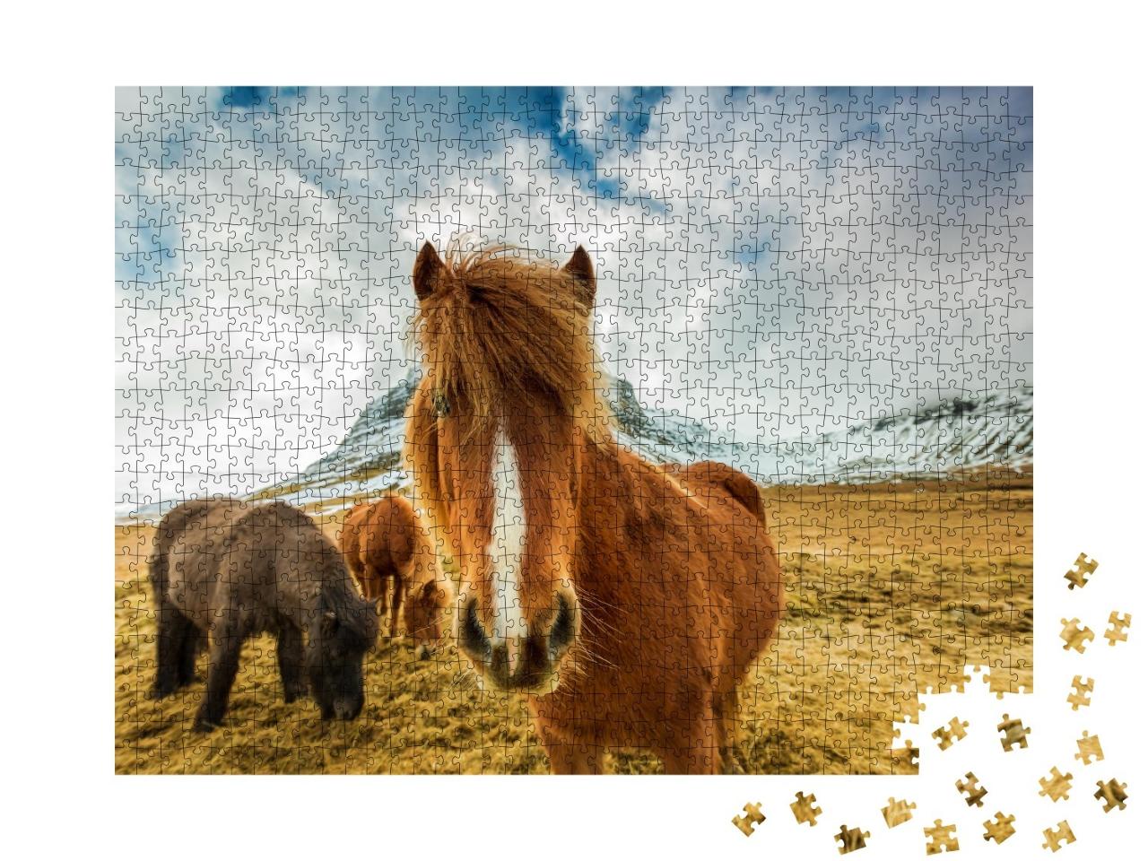 Puzzle de 1000 pièces « Chevaux dans les montagnes d'Islande »