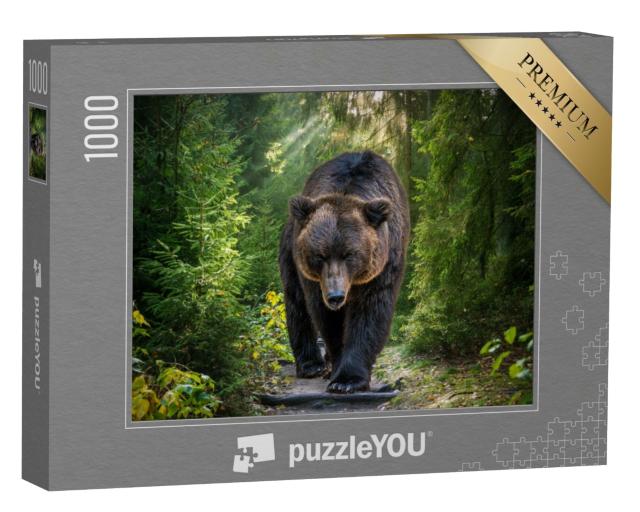 Puzzle de 1000 pièces « Un ours brun du Kamtchatka en gros plan »