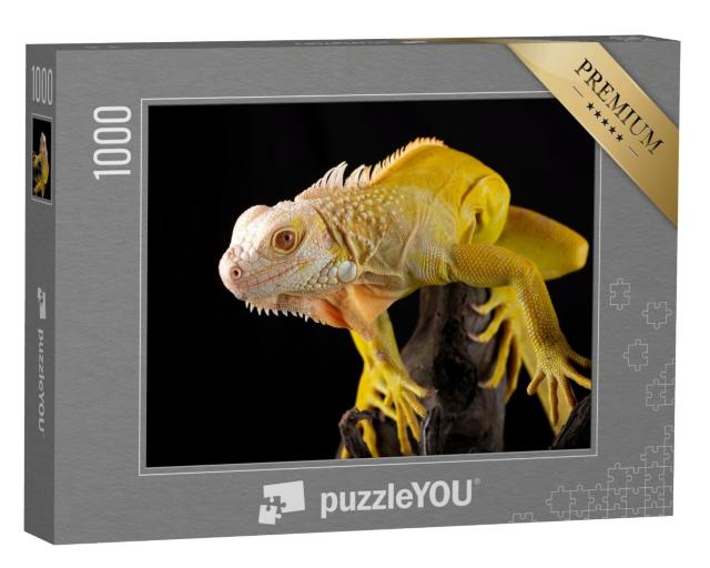 Puzzle de 1000 pièces « Iguane jaune »