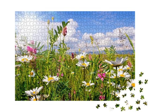 Puzzle de 1000 pièces « Prairie fleurie en été avec des marguerites »