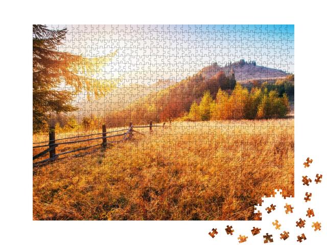 Puzzle de 1000 pièces « Un après-midi d'automne ensoleillé au-dessus d'une forêt de bouleaux dans les collines d'Ukraine »