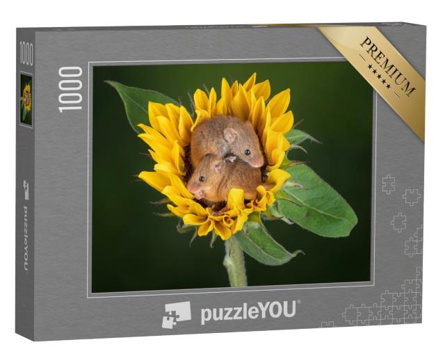 Puzzle de 1000 pièces « Deux souris se blottissent dans un tournesol »