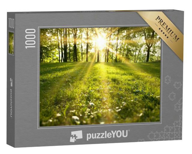 Puzzle de 1000 pièces « Lumière du soleil dans la forêt verte »