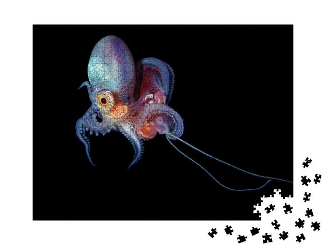Puzzle de 1000 pièces « Photo sous-marine d'une pieuvre à trous »