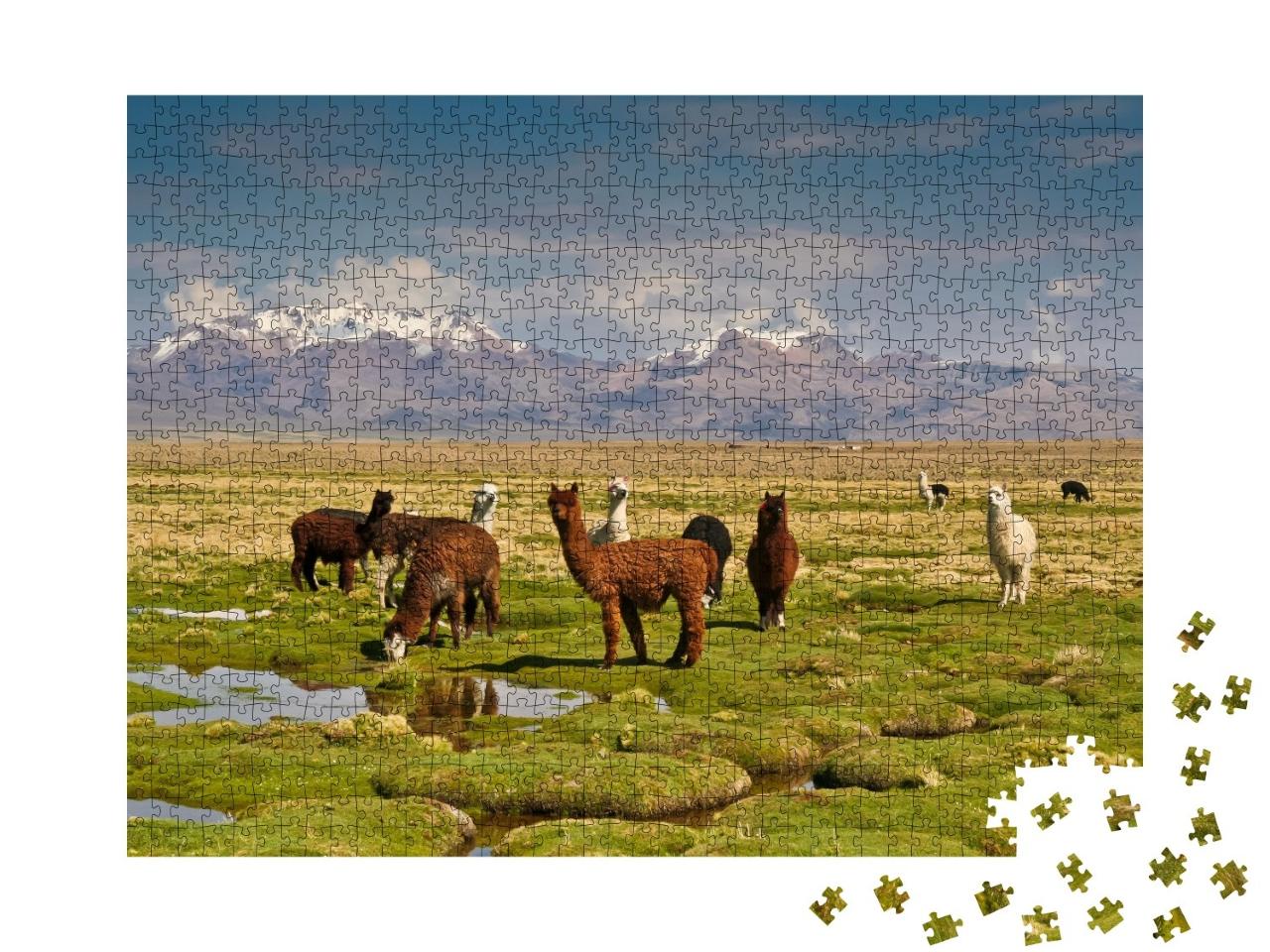 Puzzle de 1000 pièces « Les lamas dans les Andes »