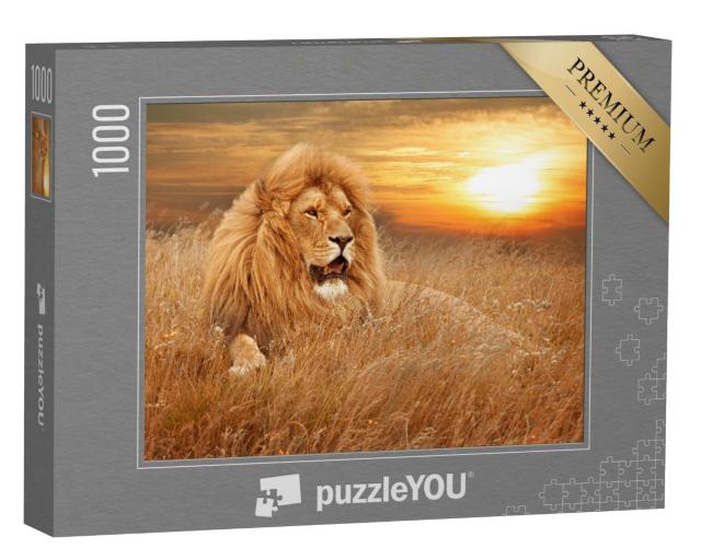 Puzzle de 1000 pièces « Image de Lions dans l'herbe »