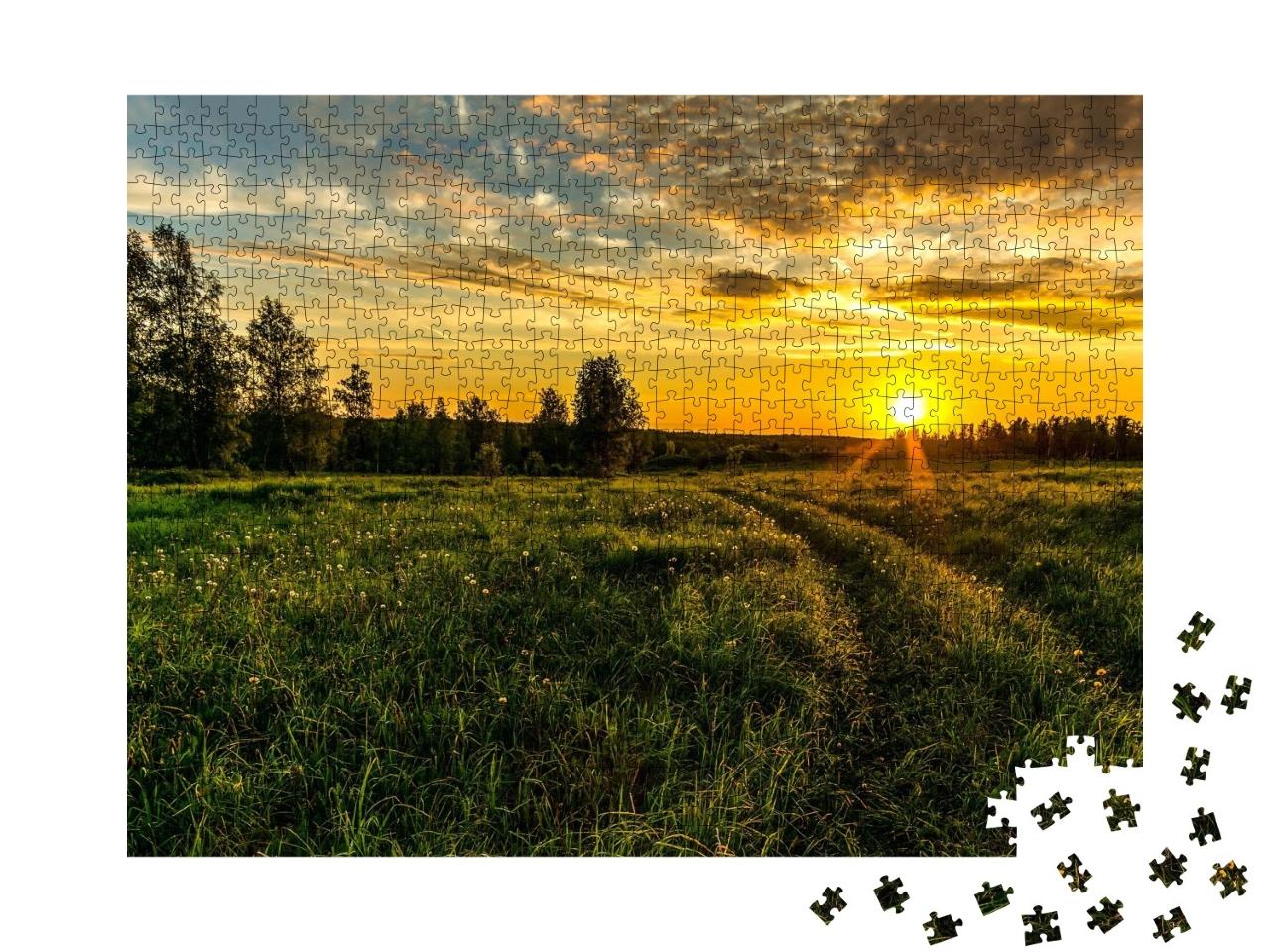 Puzzle de 1000 pièces « Coucher de soleil sur une verte prairie »