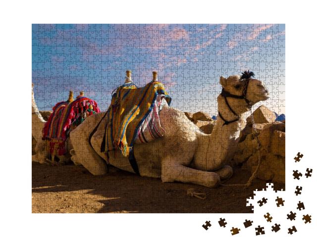 Puzzle de 1000 pièces « Chameau dromadaire devant le mont Sinaï, Égypte »