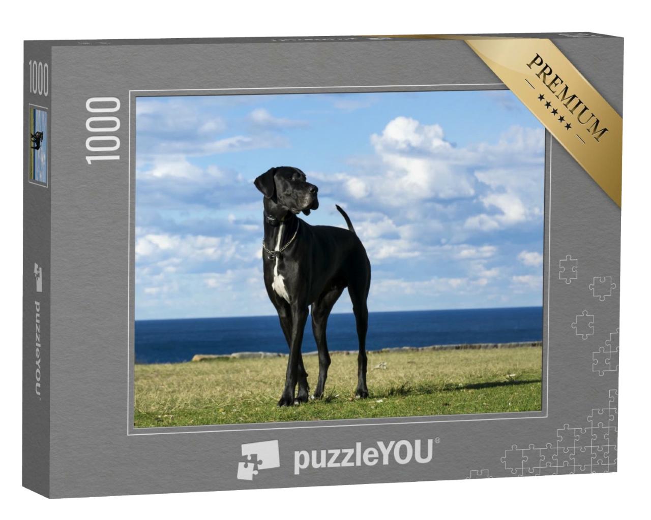 Puzzle de 1000 pièces « Dogue allemand à la mer »