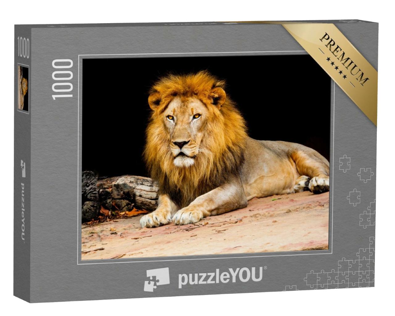 Puzzle de 1000 pièces « Un lion »