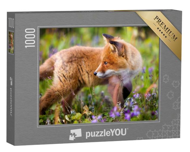 Puzzle de 1000 pièces « Jeune renard roux curieux dans une prairie fleurie »