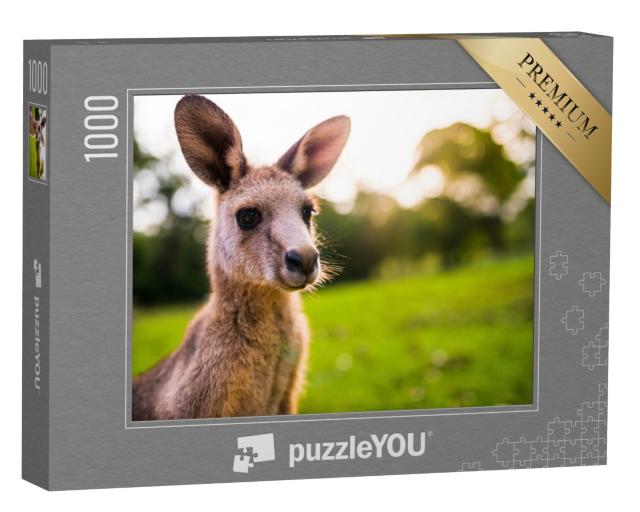Puzzle de 1000 pièces « Jeune kangourou sur la côte est de l'Australie »