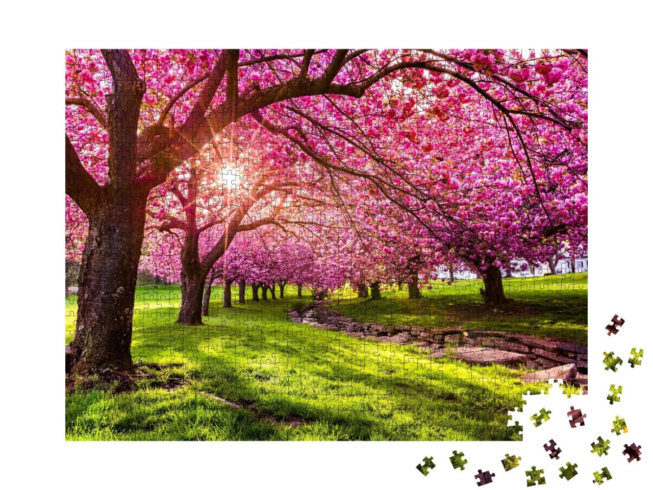 Puzzle de 1000 pièces « Cerisiers en fleurs à Hurd Park, Dover, New Jersey »