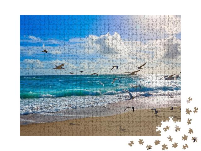 Puzzle de 1000 pièces « Mouettes à Palm Beach, Floride, États-Unis »
