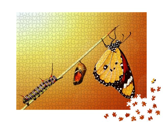 Puzzle de 1000 pièces « La transformation d'un papillon »