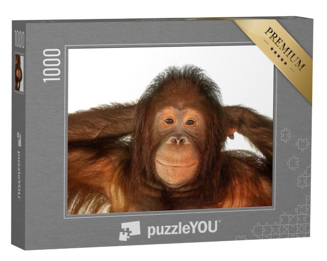 Puzzle de 1000 pièces « L'orang-outan »