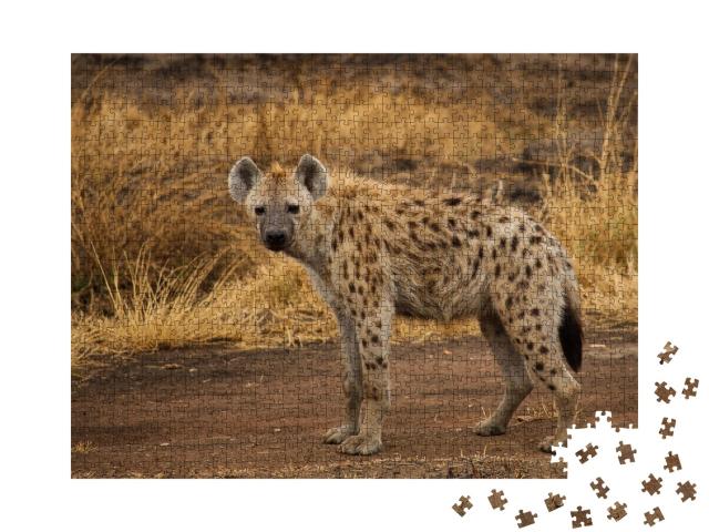 Puzzle de 1000 pièces « Hyène tachetée dans la savane »