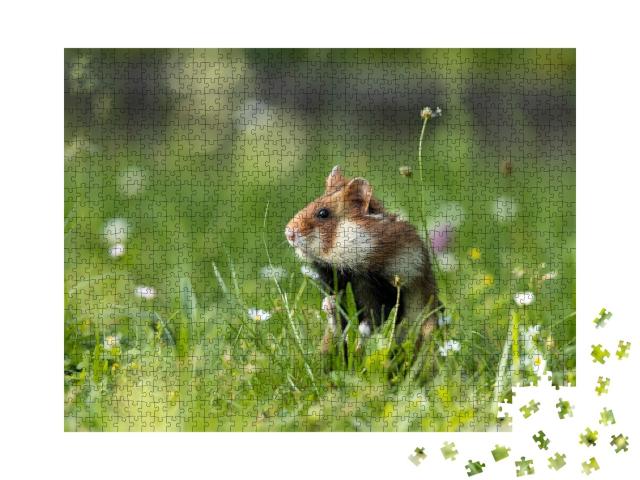 Puzzle de 1000 pièces « Grand hamster dans une prairie verte avec des fleurs »
