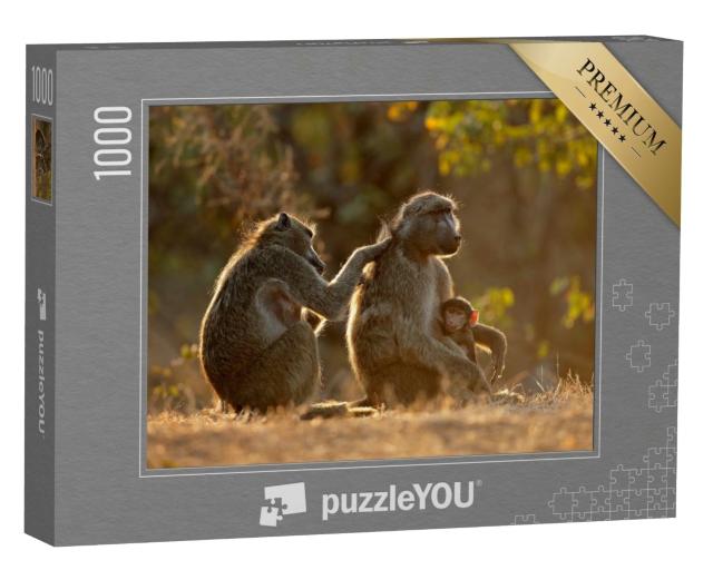 Puzzle de 1000 pièces « Vie de famille chez les babouins Chacma, Parc national Kruger, Afrique du Sud »