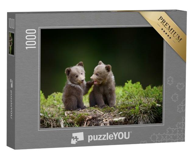 Puzzle de 1000 pièces « Deux petits oursons dans la forêt »