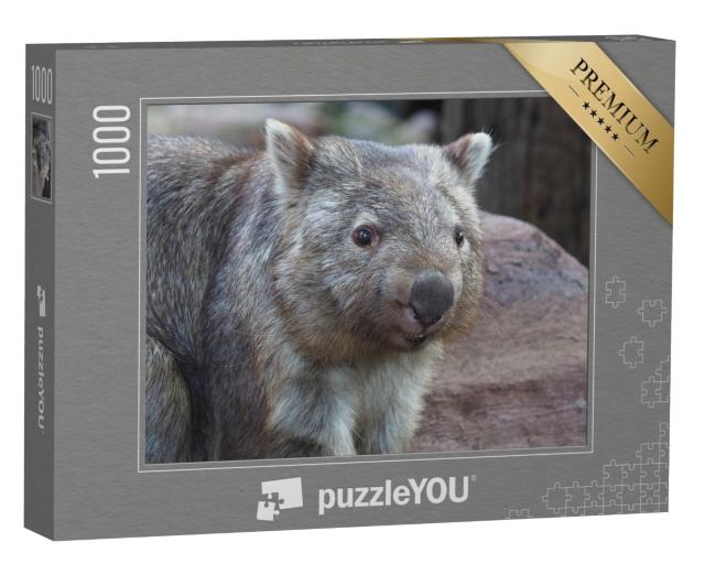 Puzzle de 1000 pièces « Wombat, originaire d'Australie »