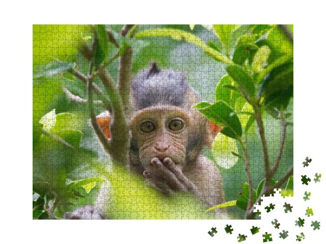 Puzzle de 1000 pièces « Un singe dans une forêt en Thaïlande »