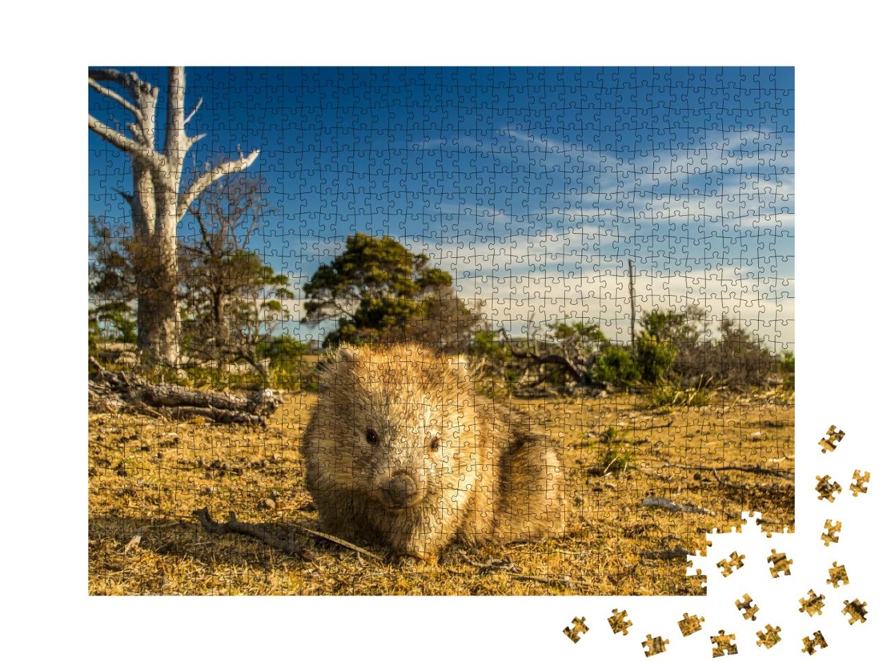 Puzzle de 1000 pièces « Wombat broutant dans le bush australien de Tasmanie »