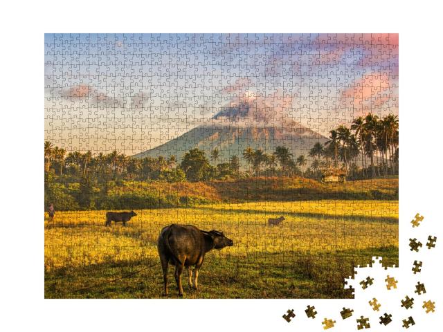Puzzle de 1000 pièces « Volcan Mayon, Philippines »
