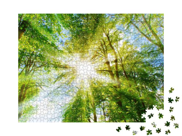 Puzzle de 1000 pièces « Rayons de soleil lumineux dans le vert de la forêt »
