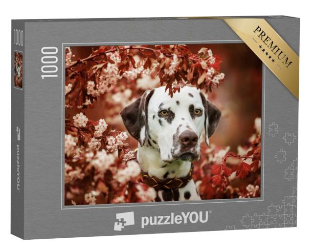 Puzzle de 1000 pièces « Beau dalmatien »