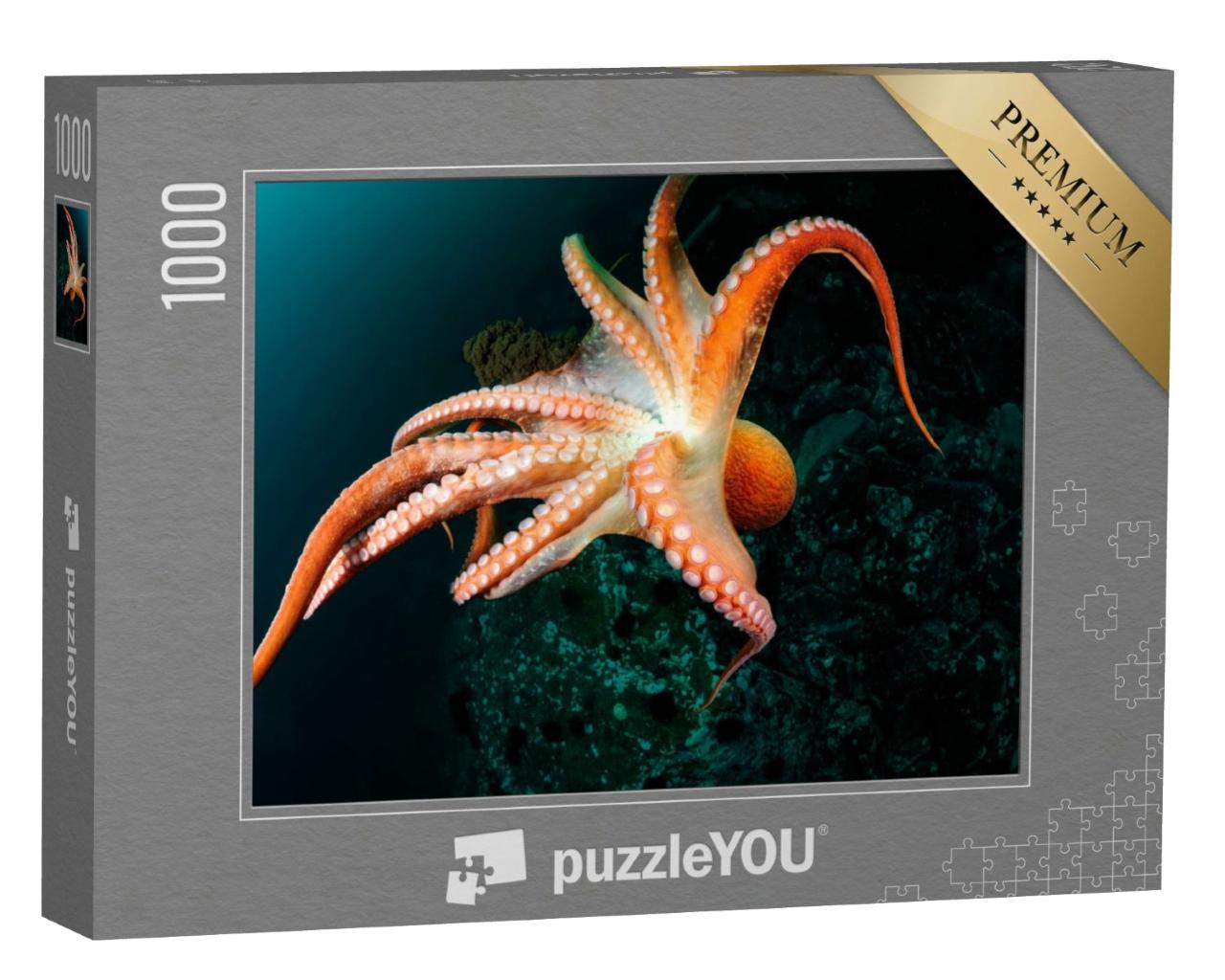 Puzzle de 1000 pièces « Vol d'une pieuvre géante dans les profondeurs de l'océan »