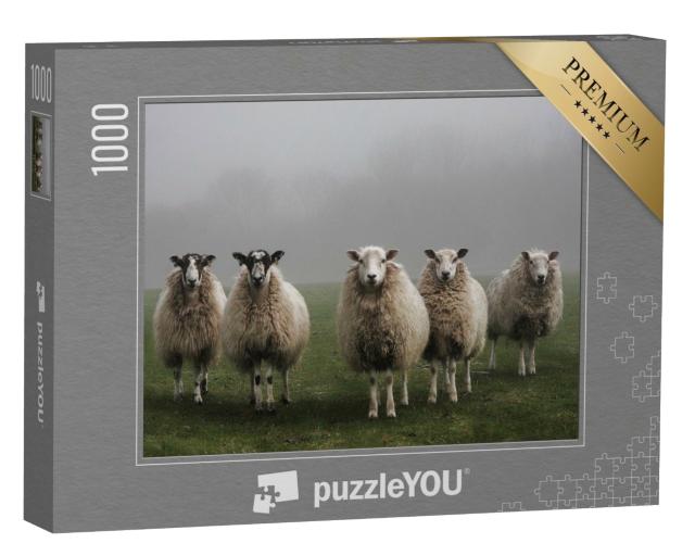 Puzzle de 1000 pièces « Cinq moutons dans un champ par un matin brumeux dans le Dorset »