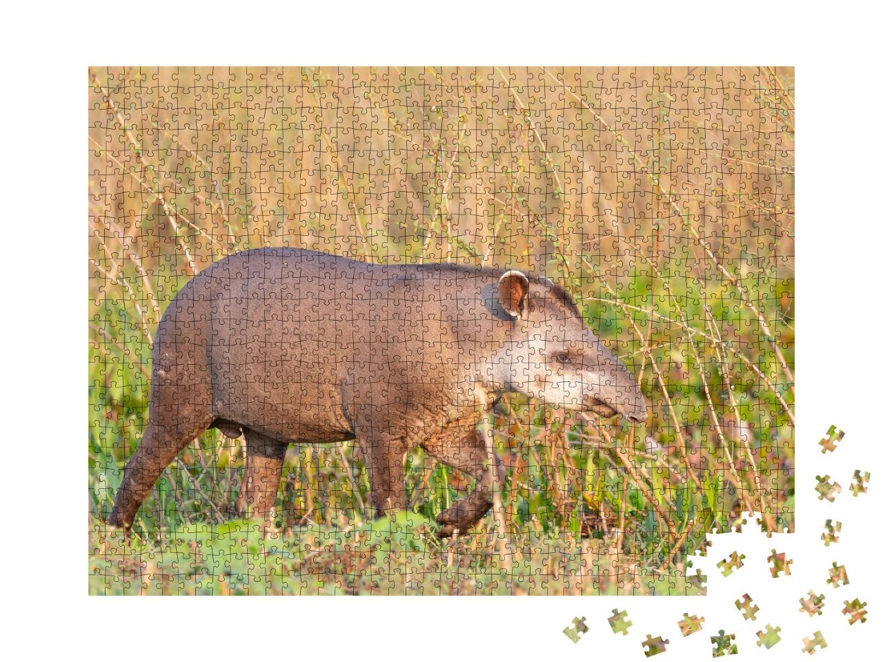 Puzzle de 1000 pièces « Un tapir des plaines dans la jungle brésilienne »