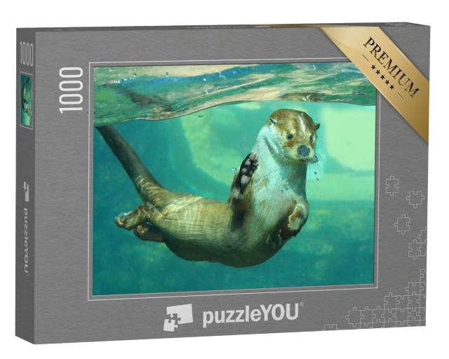 Puzzle de 1000 pièces « La loutre d'Europe sous l'eau »