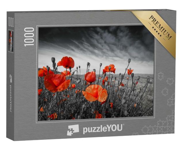 Puzzle de 1000 pièces « Des coquelicots dans une prairie »