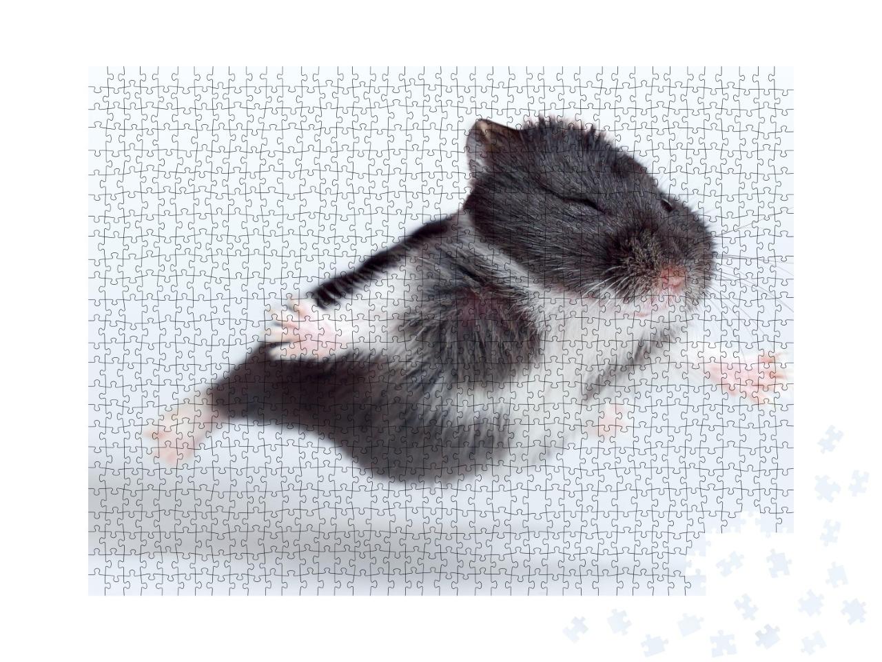 Puzzle de 1000 pièces « Drôle de hamster volant »