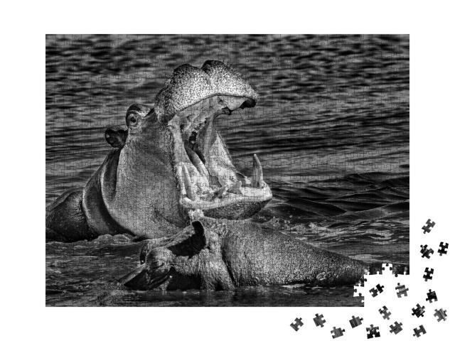 Puzzle de 1000 pièces « Hippopotame à la gueule grande ouverte, delta de l'Okavango, Botswana »
