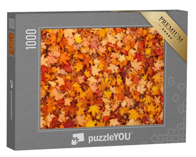 Puzzle de 1000 pièces « Feuilles d'automne rouges et oranges »