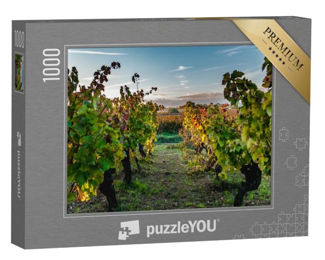 Puzzle de 1000 pièces « Vignoble du Languedoc-Roussillon en automne au coucher du soleil »