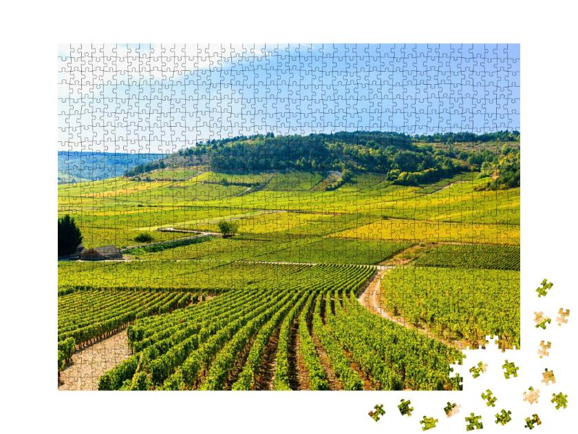 Puzzle de 1000 pièces « Vue sur les vignobles, en Bourgogne, France »