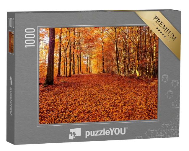 Puzzle de 1000 pièces « Une route de feuilles d'automne dans la forêt »
