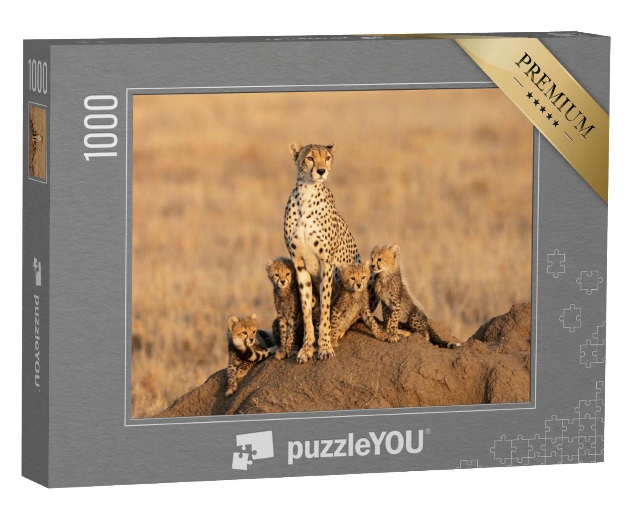 Puzzle de 1000 pièces « Guépard femelle avec quatre petits »