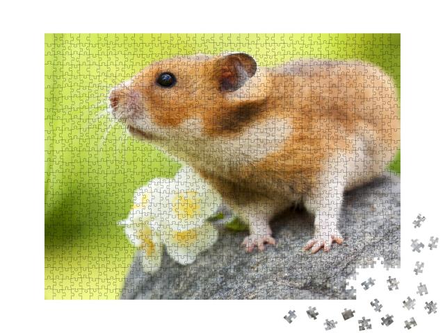 Puzzle de 1000 pièces « Mignon hamster sur une pierre »